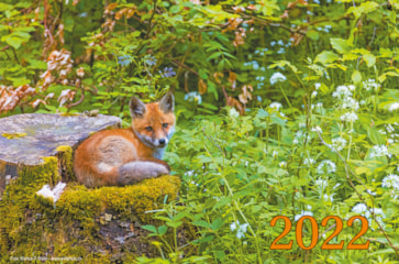 KALENDER 2022
